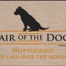 Hair of The Dog