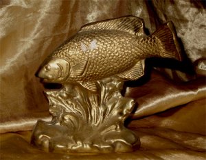 Brass Coy (Fish)