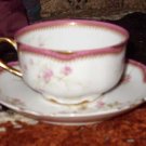 Frank Haviland Turn of the Century Teacup & Saucer
