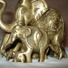 Elephant Herd
