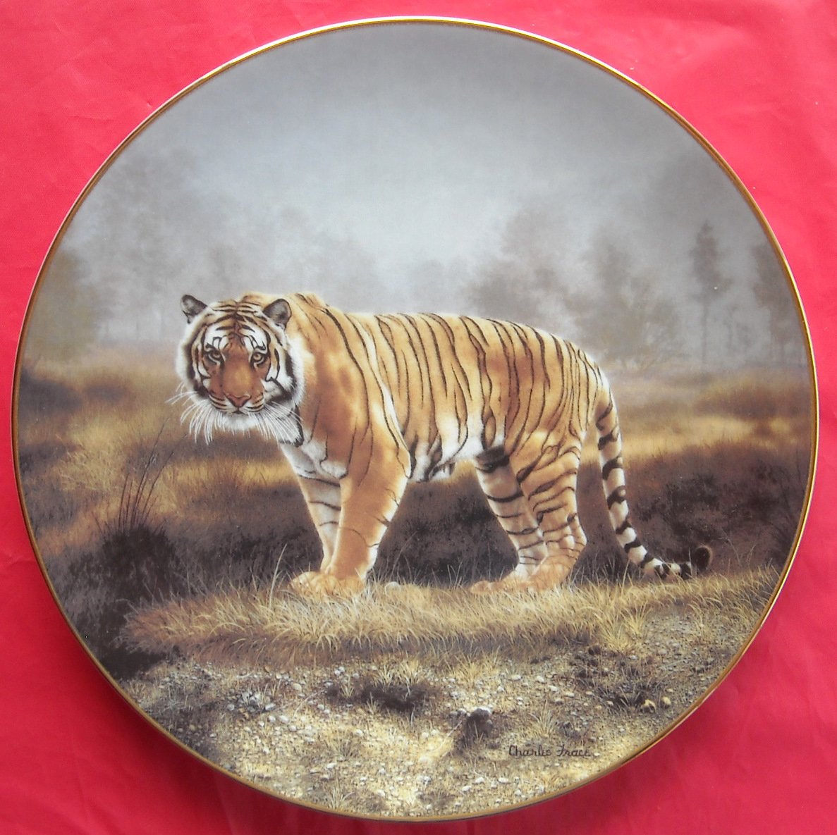 Royal Bengal Tiger - Vanishing Treasures