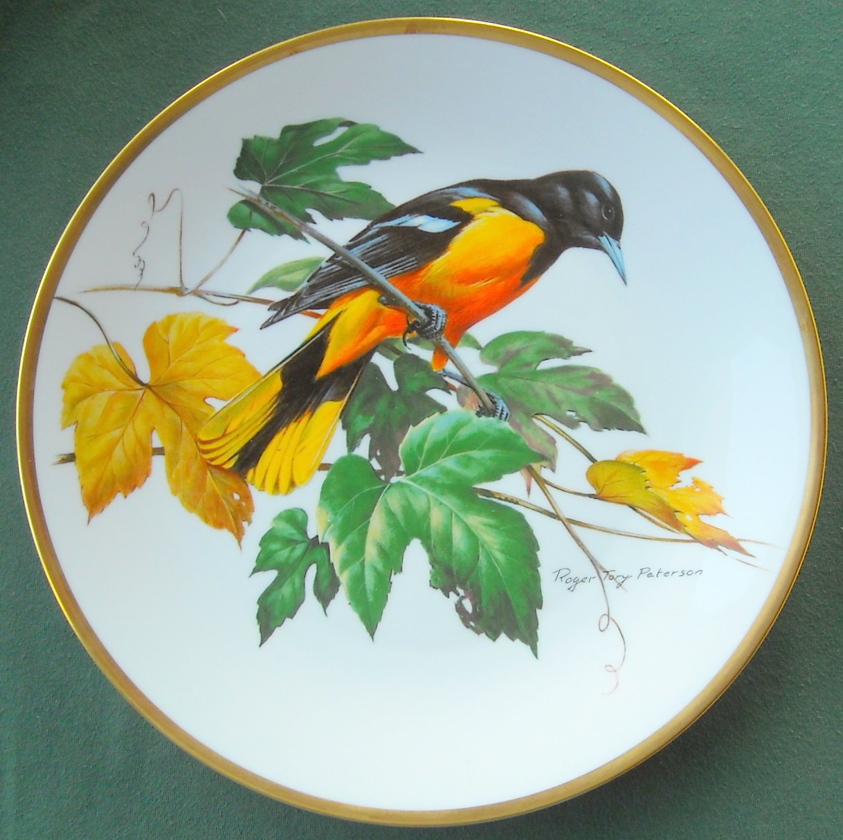 Baltimore Oriole Roger Tory Peterson Georges Boyer Fine Porcelain ...