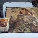 Vintage Time Life Cats of Africa Series Lion Jigsaw Puzzle 625 Pieces Complete