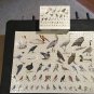 Potter Sibley Backyard Birding Jigsaw Puzzle 1000 Pieces Complete w/Poster Birds