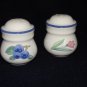 Pfaltzgraff Summer Garden Salt and Pepper Shaker Set