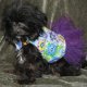 Doggie Dresses