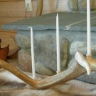 Natural Elk Candlabra