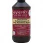 Groganics Deep Freeze Follicle Cleanser & Scalp Absorbent Shampoo, 8 oz.