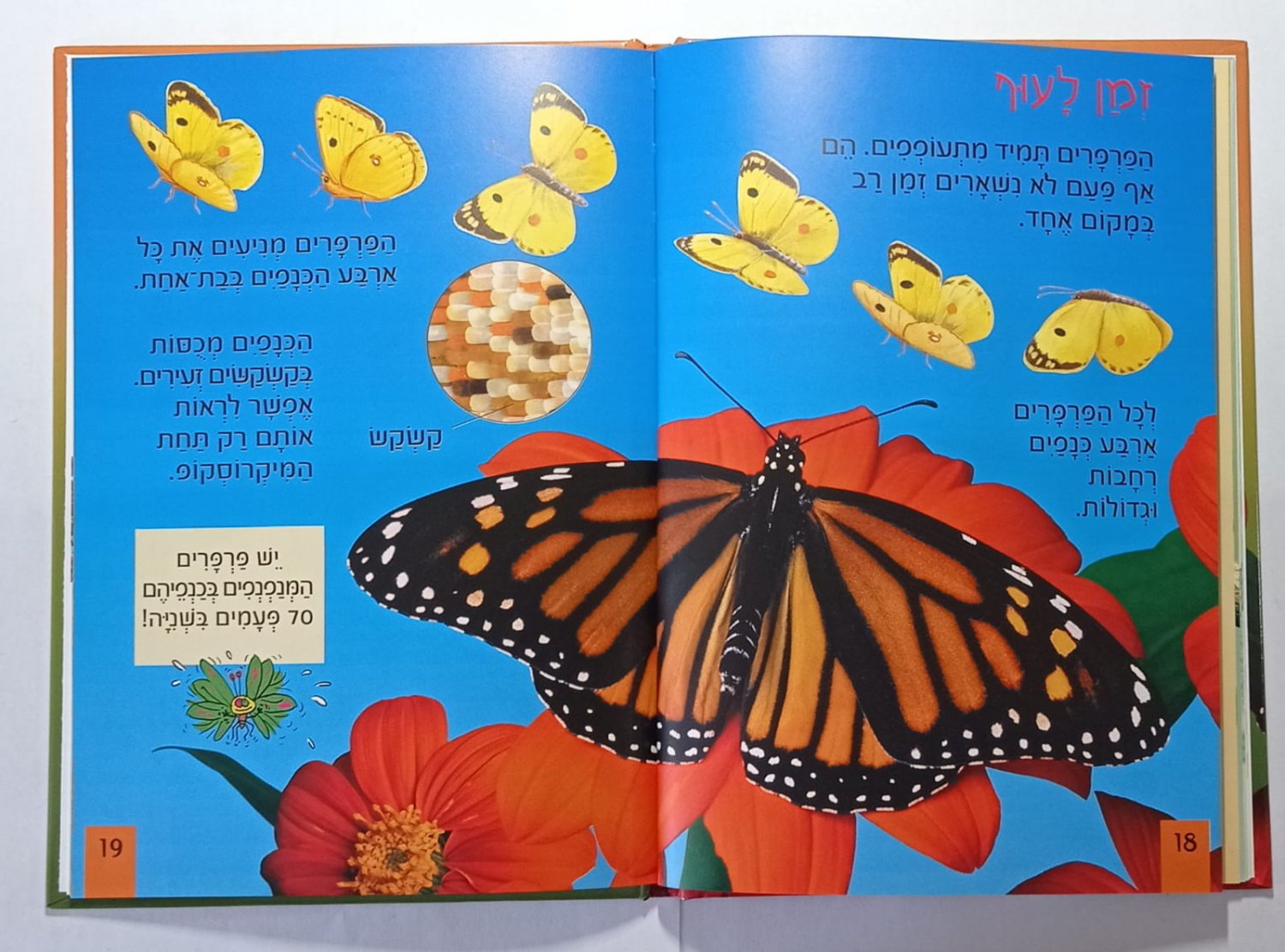 KIDS BOOK - "Butterflies" , Hebrew Language