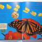 KIDS BOOK - "Butterflies" , Hebrew Language