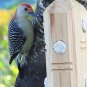 Suet Plug Post Feeder - PINE + FREE US SHIPPING