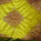 Chunri Tie & Die Scarves