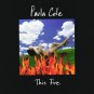 Paula Cole - This Fire (1996) Cassette Tape