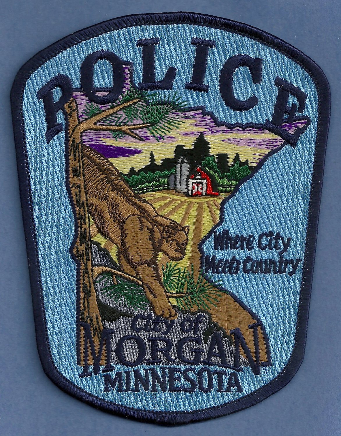 Minnesota Police Patch