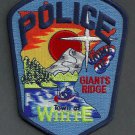 White Minnesota Police Patch