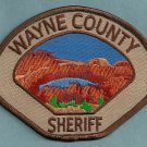 Wayne County Sheriff Utah Police Patch