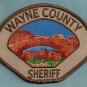 Wayne County Sheriff Utah Police Patch