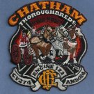 Chicago Fire Department Engine Company 122 Fire Patch