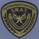 Texas Department of Public Safety Ranger Division SWAT Team Police Patch