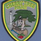Cherry Tree Pennsylvania Police Patch