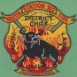 Houston Fire Department Station 102 Patch