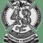Dallas Fire Department Texas Engine Company 43 Patch