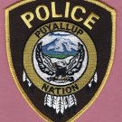Puyallup Nation Washington Tribal Police Patch Brown