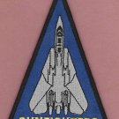 U.S. Navy VF-124 Gunfighters Fighter Squadron F-14 Aircraft Patch