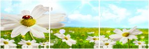 stretched canvas prints,canvas art prints,canvas wall art,giclee prints.wall decor