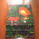 framed canvas printing,stretched canvas art,canvas wall art,giclee prints.canvas painting