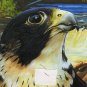 Pennsylvania Game News June 2012