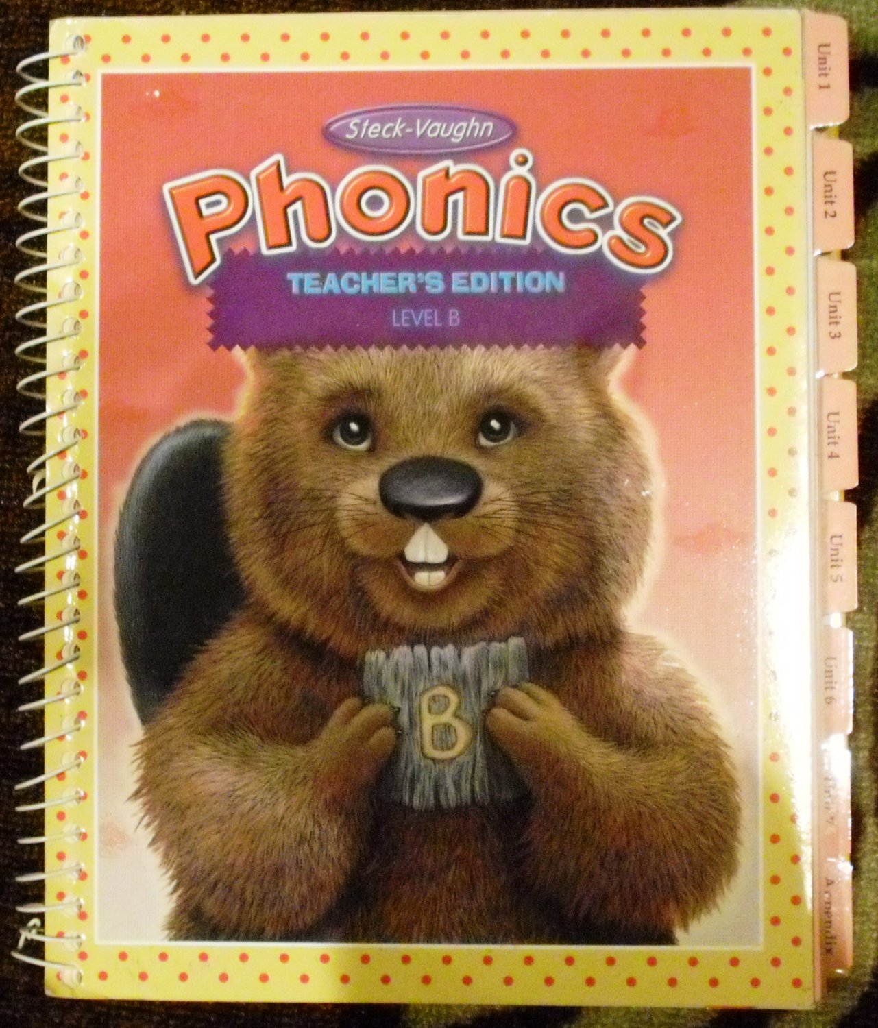 Teacher's Edition Phonics Level B (1999) (Steck-Vaughn Phonics)