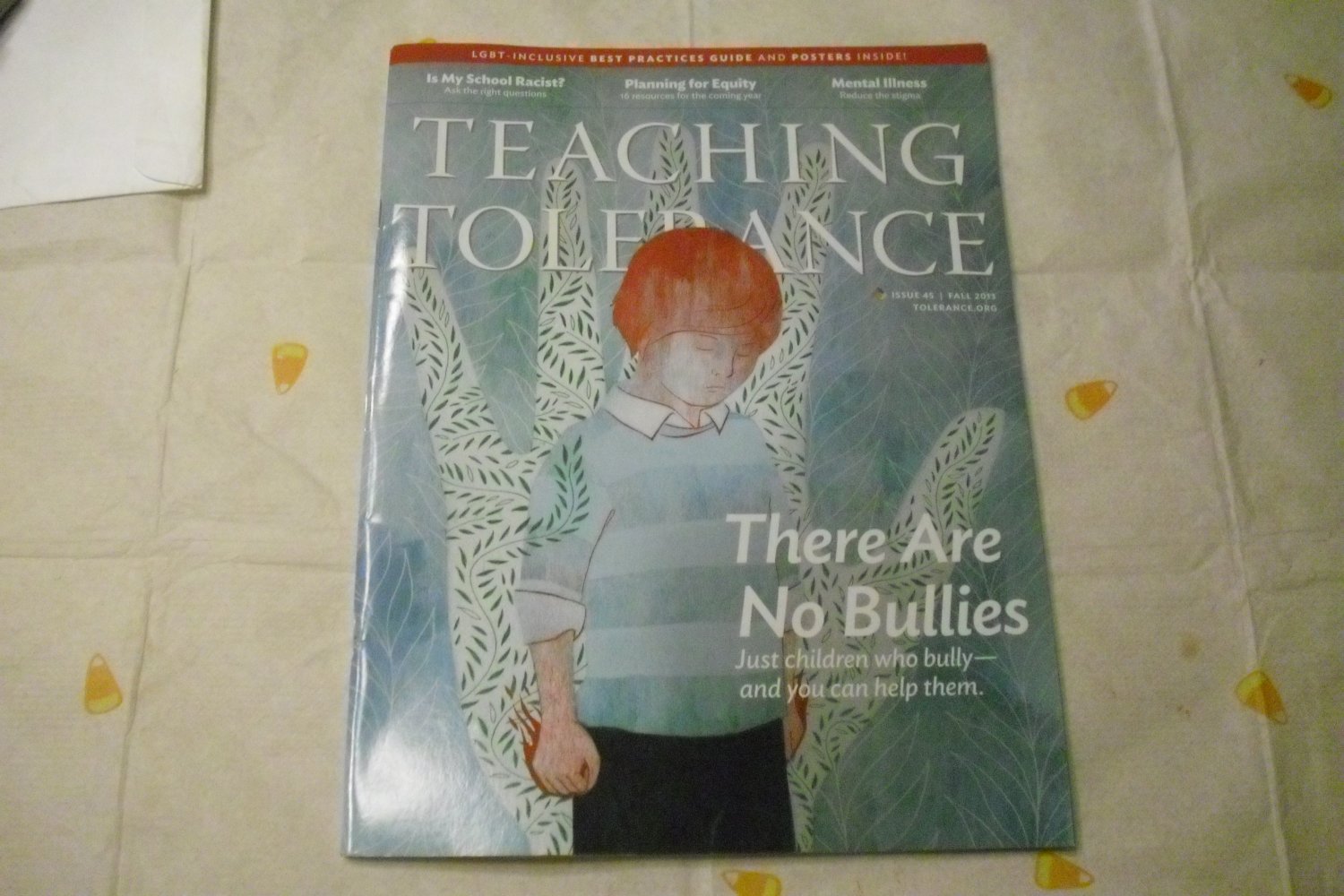 Teaching Tolerance Magazine Spring 2008