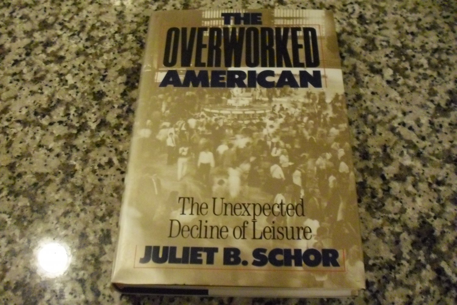 The Overworked American: The Unexpected Decline of Leisure by Juliet Schor (12 Apr 1992)