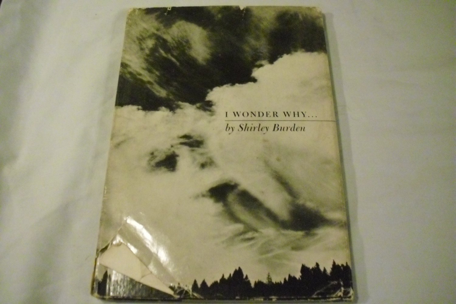 I Wonder Why by Shirley Burden