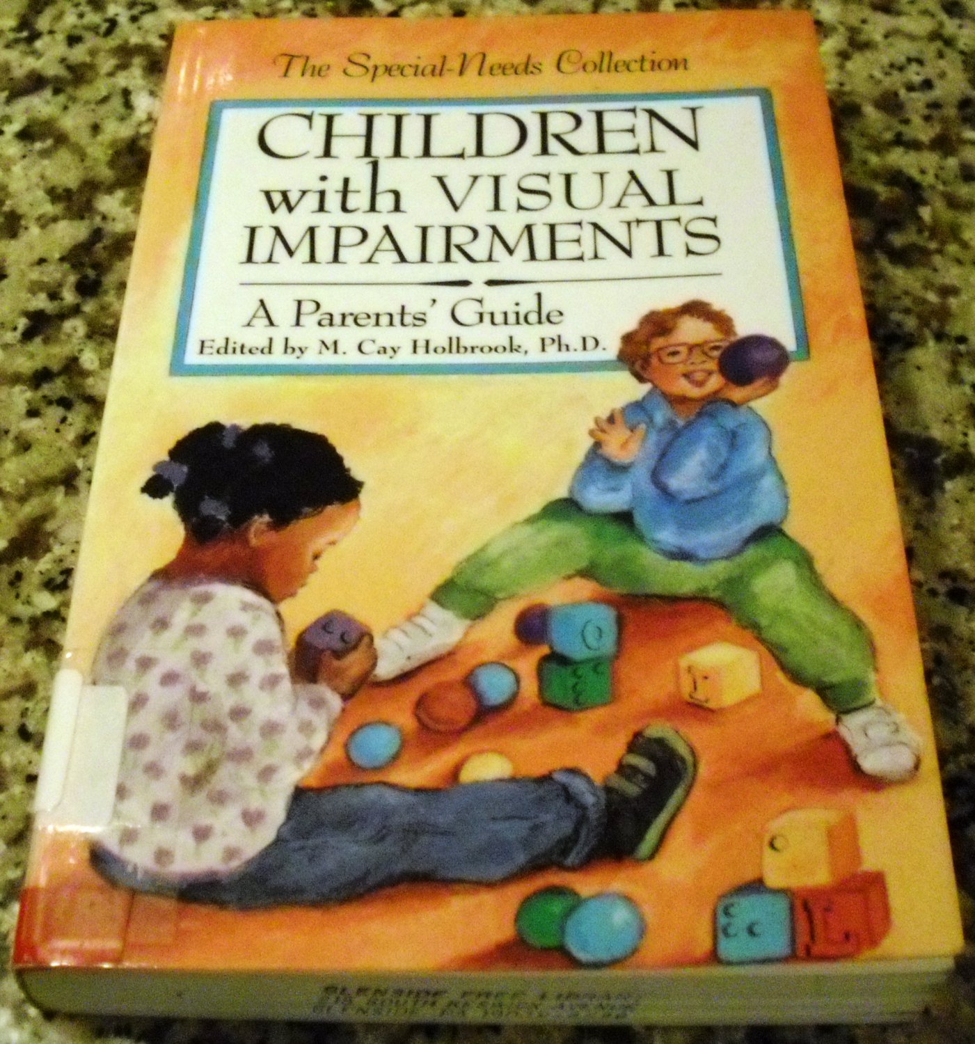 Children With Visual Impairments A Parents Guide By M