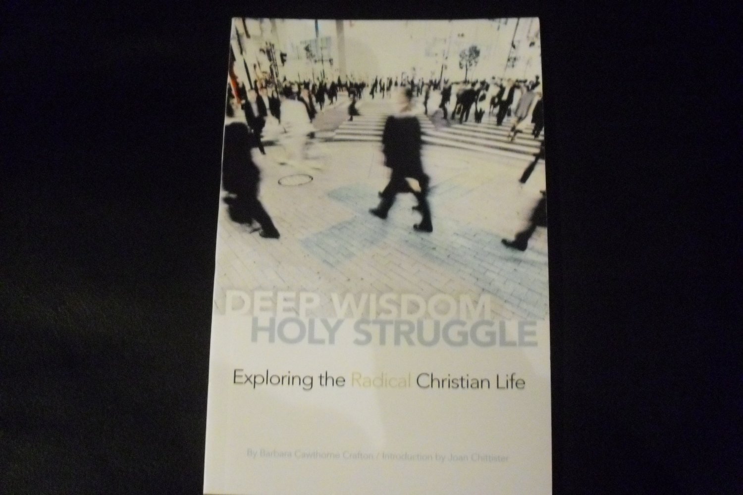 Deep Wisdom Holy Struggle: Exploring the Radical Christian Life by Crafton
