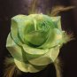 Glitter Feather Flower Hair Bow Clip Brooch Pin - Green