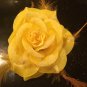 Glitter Feather Flower Hair Bow Clip Brooch Pin - Yellow