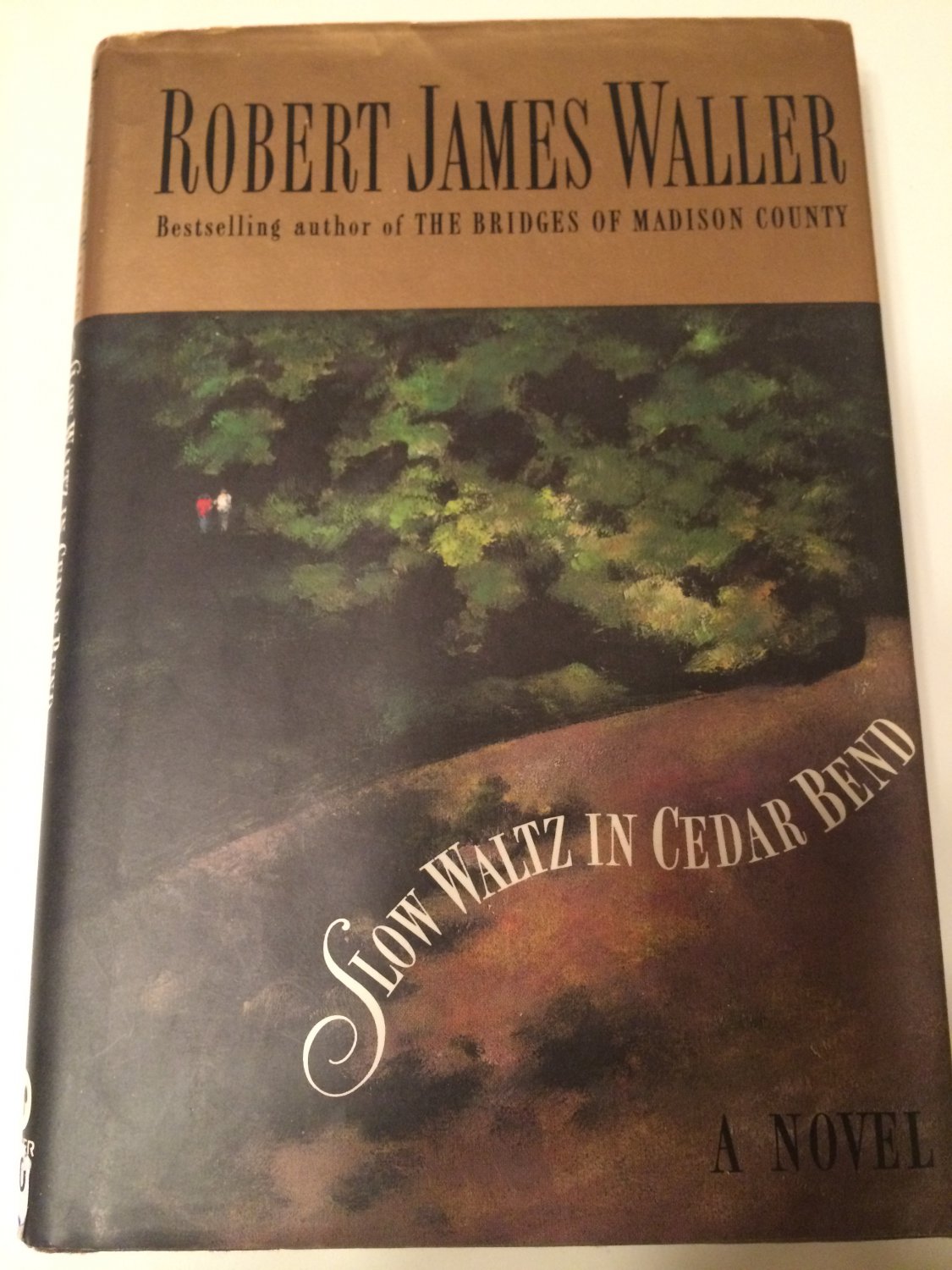 Slow Waltz in Cedar Bend by Robert James Waller (1993, Hardcover)