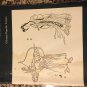 Chinese Popular Fiction - Asian Studies Inquiry Program by David L. Weitzman (Paperback)