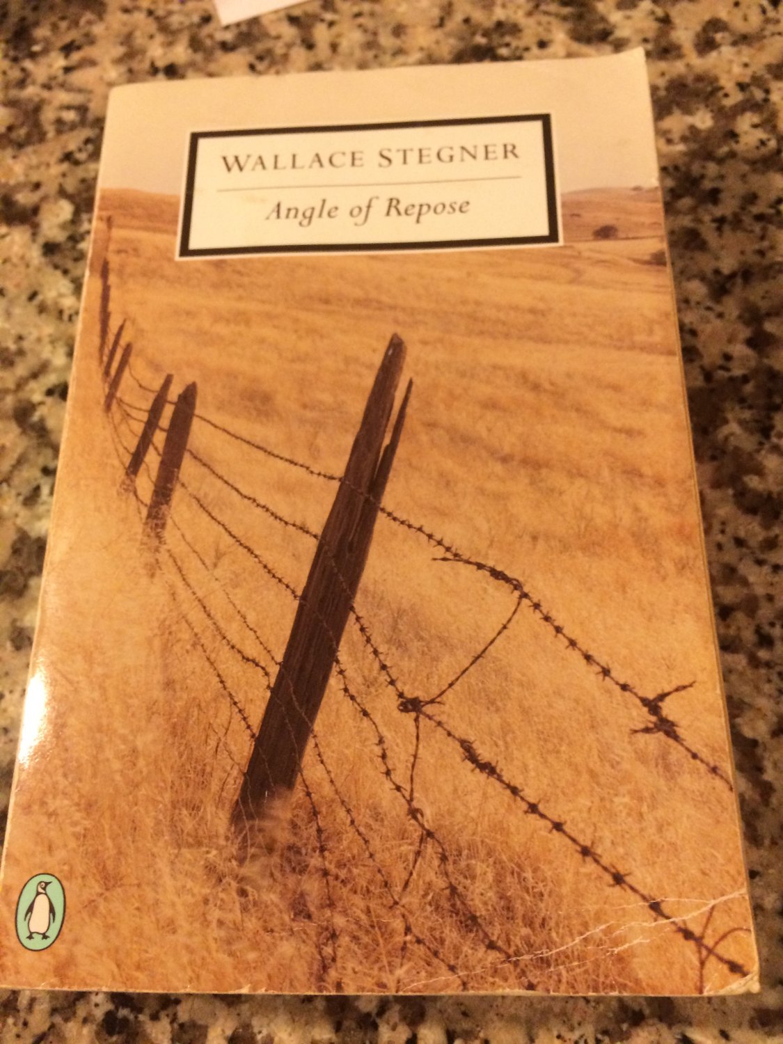 Penguin Twentieth-Century Classics: Angle of Repose by Wallace Stegner (2000, Paperback)