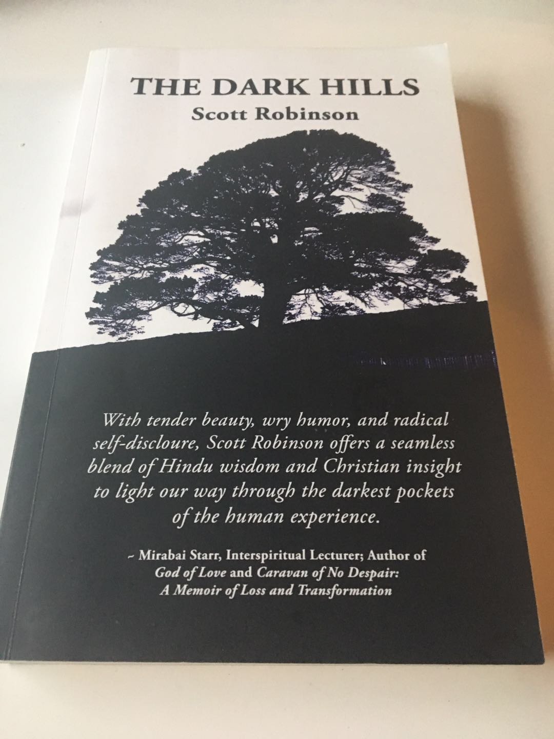 The Dark Hills 1st Edition by Scott Robinson (Author)