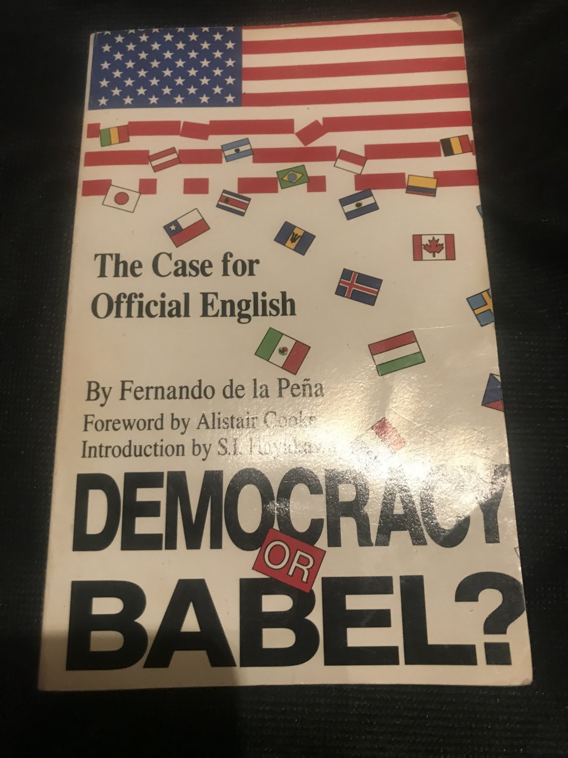 Democracy or Babel? by Fenando de la Pena (1989)