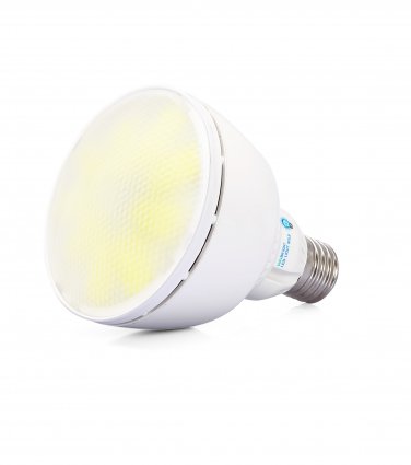 Free Shipping PAR30 10W 900Lumens Bright LED Dimmable-ULCertificate 5 years Warranty