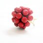 Drop Coral  Brass Ring