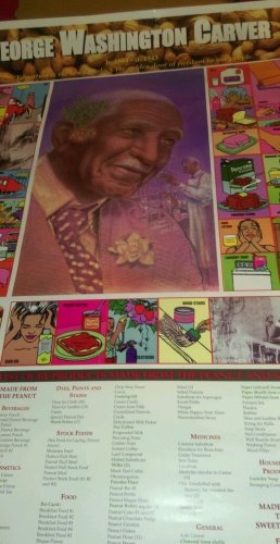 Geroge Washington Carver Poster