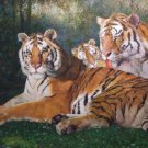 Handmade animal canvas decor art oil painting -Tiger family