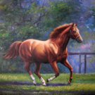 Wonderful animal canvas decor art oil painting -Horse