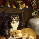 Wonderful animal canvas decor art oil painting -Cats